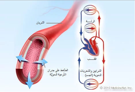 ما هو ضغط الدم؟ وكيف تحافظ عليه؟