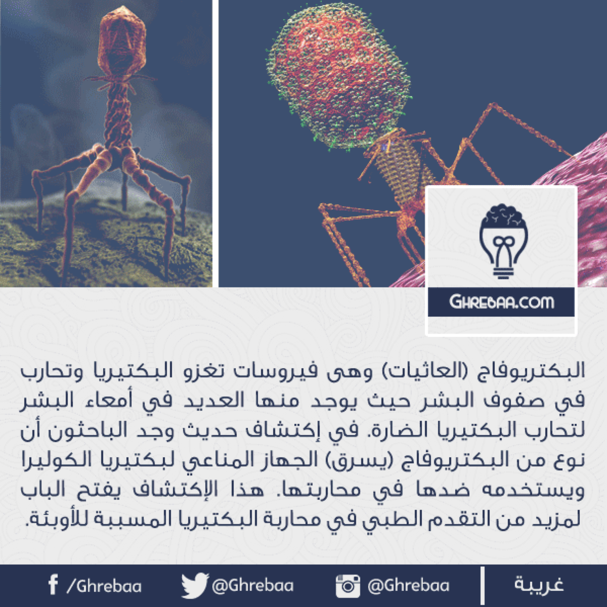 أغرب معلومات وأحداث قد تقرأها - جزء 13 (من 121 إلى 130)